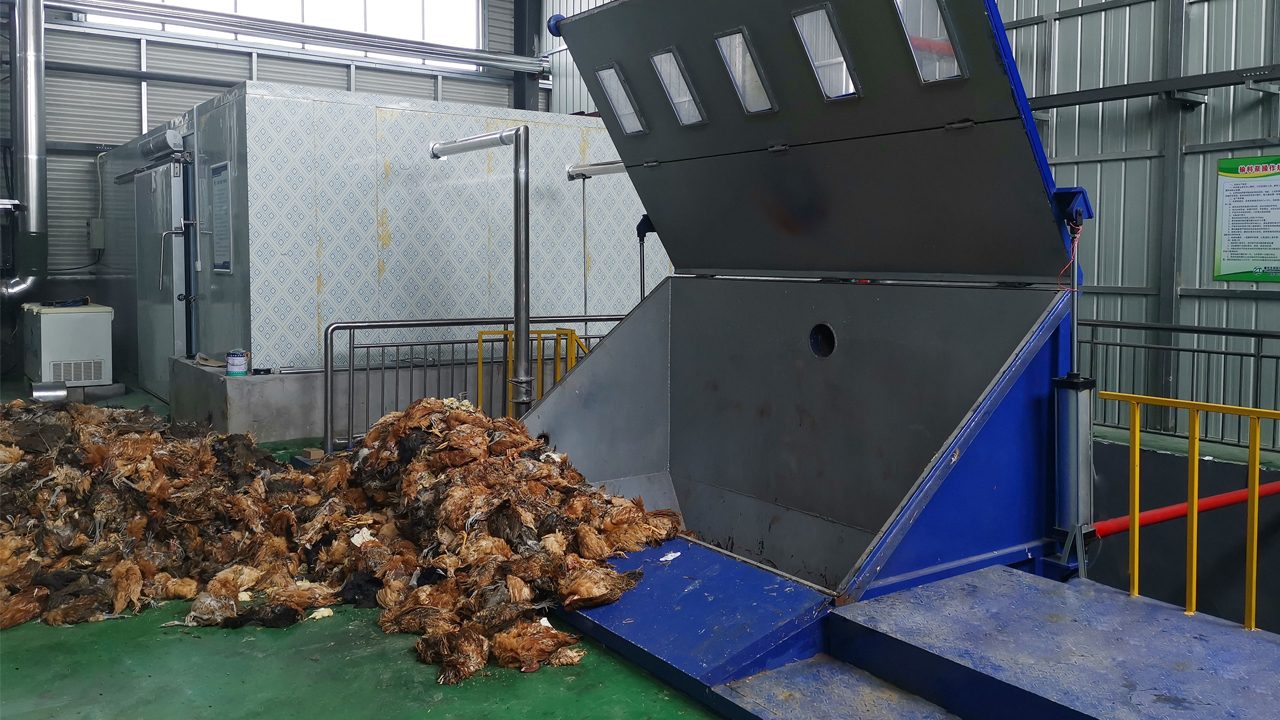 6878c5de96342.jpg 31.jpg